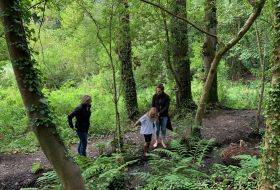 Wild Edgewalker - Healing Blue