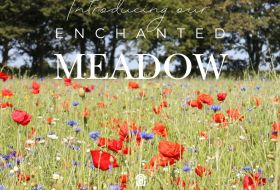 meadow at la mare
