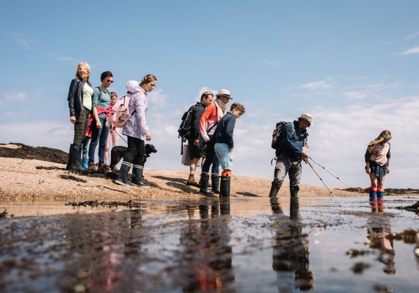 groupe à la pêche à pied dans la baie de Grouville