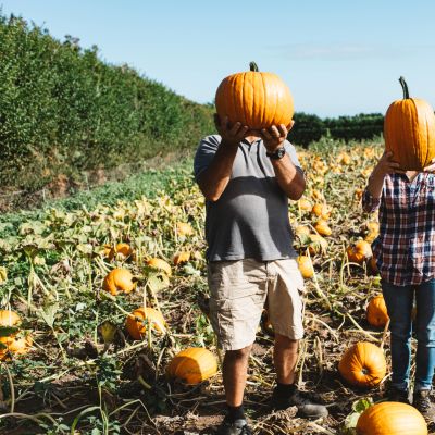 people holding pumpkin in front of head in a pumpkin field