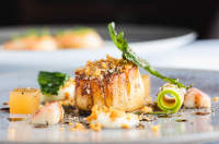 A plate of beautifully presented food at Bohemia restaurant