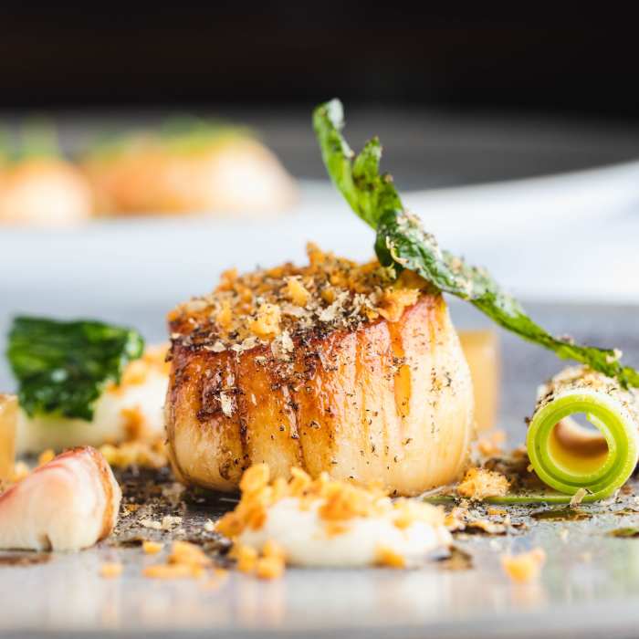 A plate of beautifully presented food at Bohemia restaurant