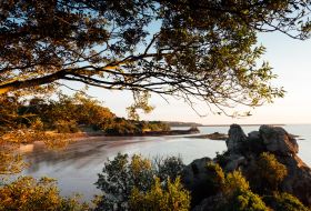 Anne Port Bay in Autumn