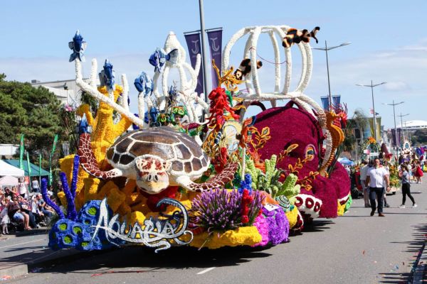 float from the battle of flowers