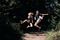 Children playing in the wood