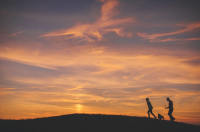 Couple walking their dog at sunrise