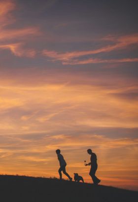 Couple walking their dog at sunrise