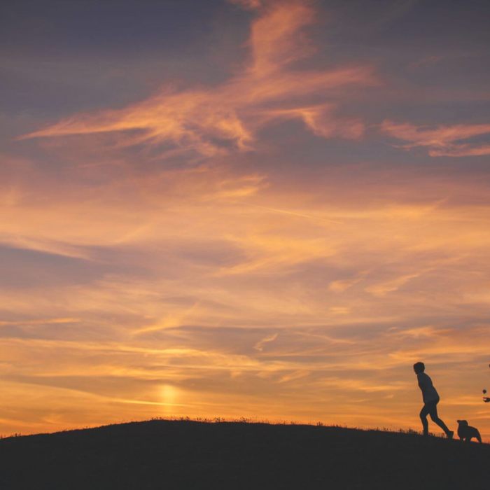 Couple walking their dog at sunrise