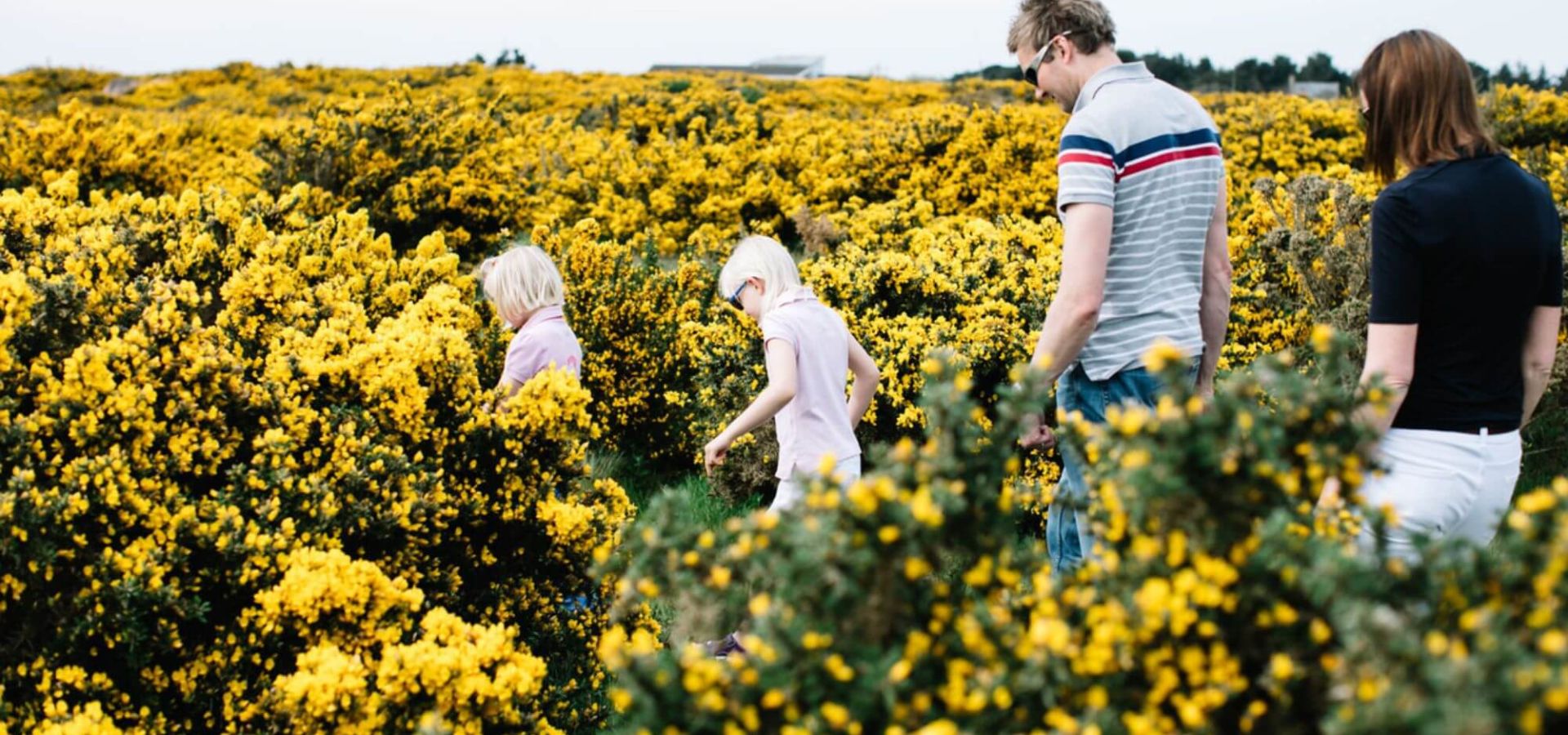 famille en randonnée à travers champs