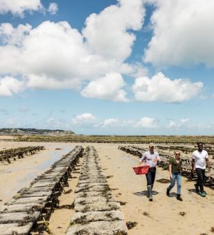 2 men and one woman touring Oyster beds