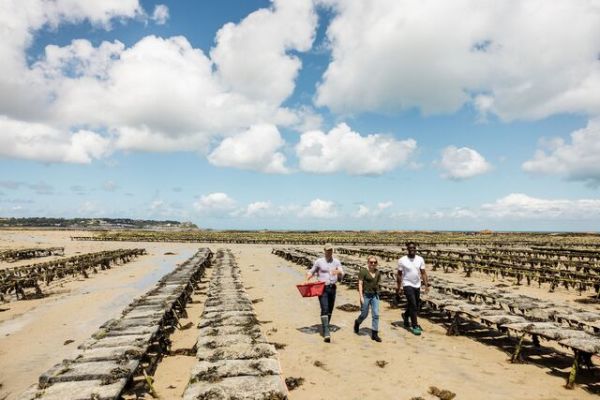 2 men and one woman touring Oyster beds