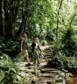 Couple walking in the woods