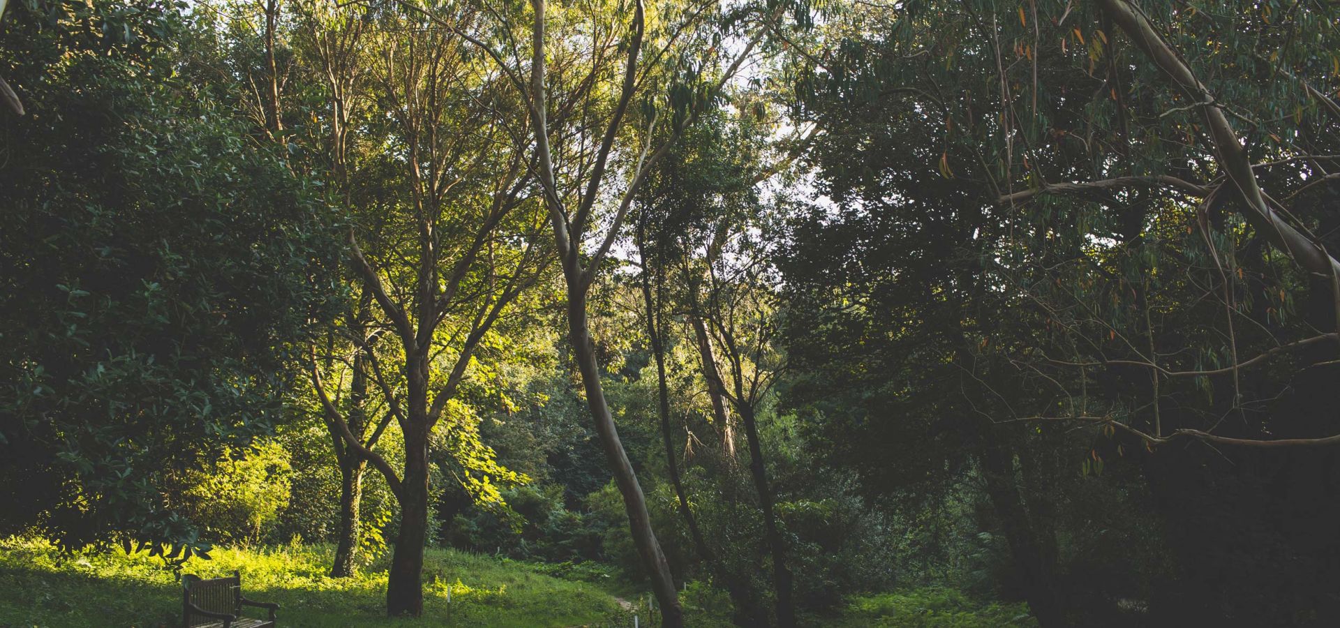 Val de La Mare - Jersey