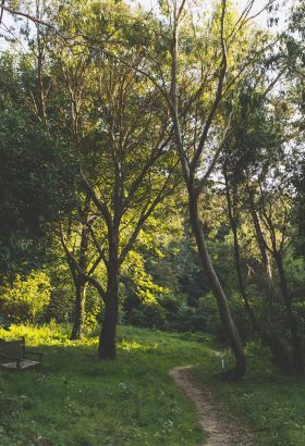 Val de La Mare - Jersey