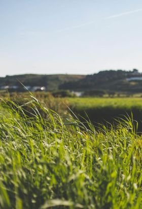 Overview of the wetlands