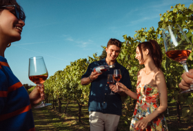 La Mare Wine Estate Tour and Tasting Experiences